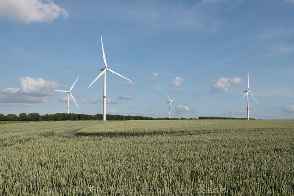 Les Vents d'Arpes, Ventis s.a., Vent+ asbl
parc éolien à Nivelles